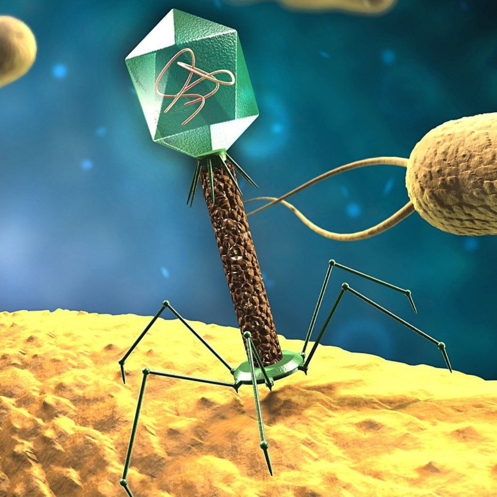 Бактериофаги: Невероятные Хищники Микромира